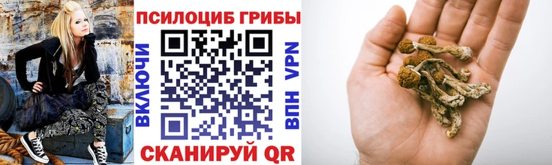 Галлюциногенные грибы прущие грибы  купить   кракен   Кочубеевское 